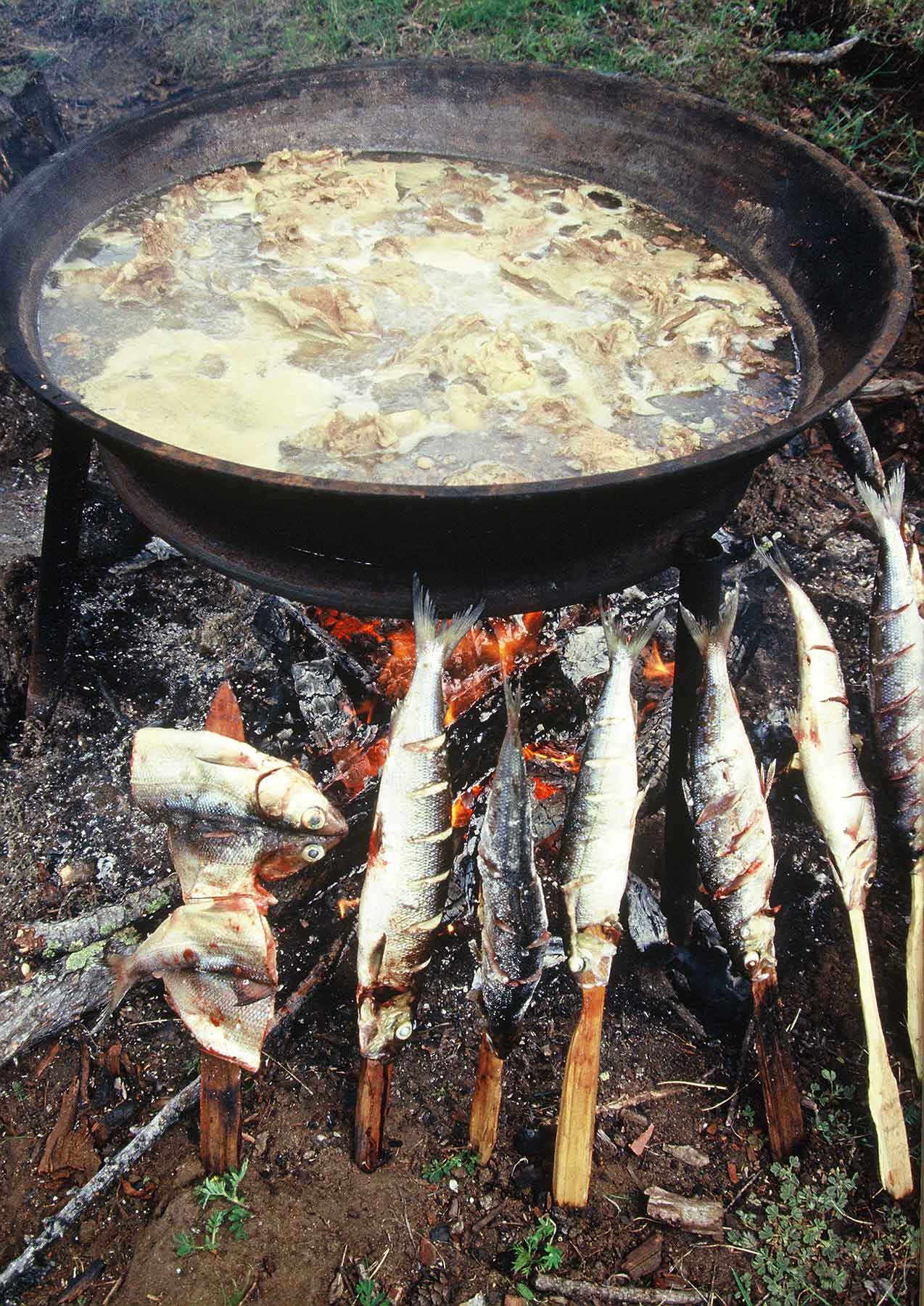 СИБИРСКАЯ КУХНЯ «ПАЛЬЧИКИ ОБЛИЖЕШЬ». РЕЦЕПТЫ БАЙКАЛЬСКИХ РЫБАКОВ